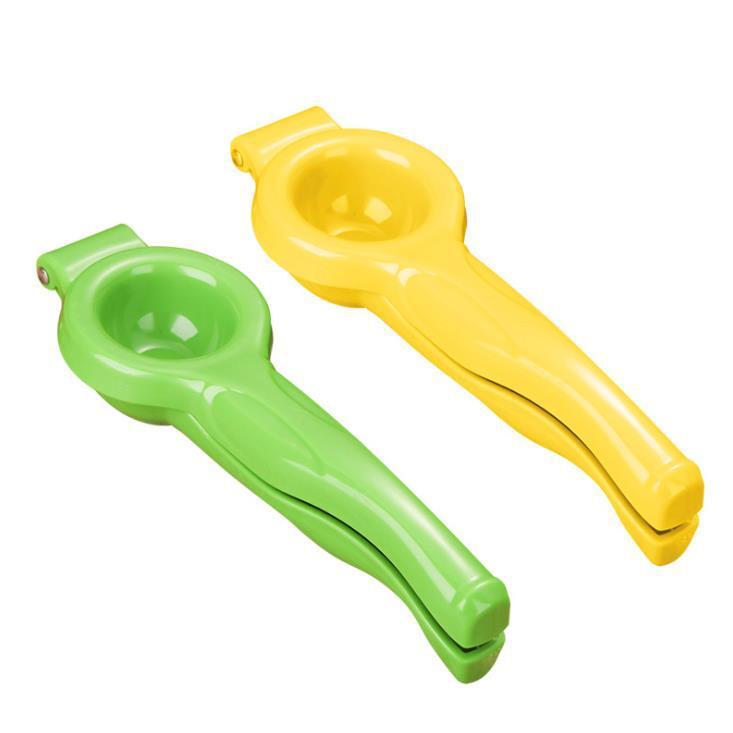 Fruit Juicer