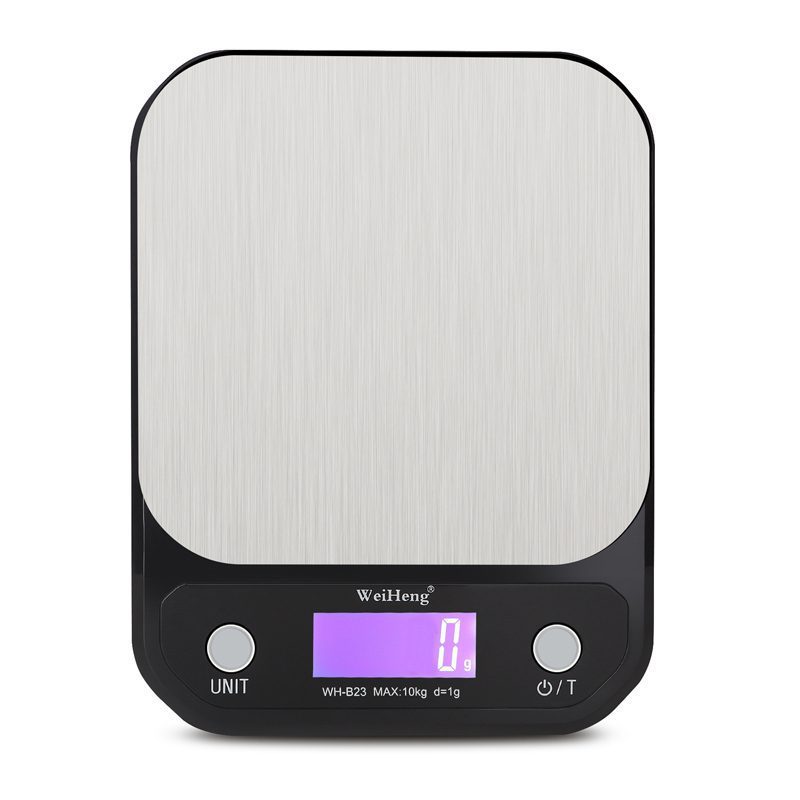 precision electronic scale