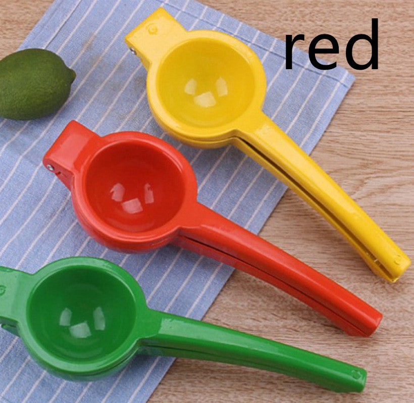Fruit Juicer