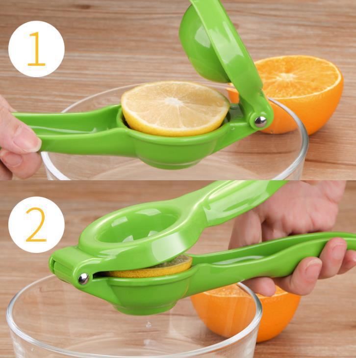 Fruit Juicer