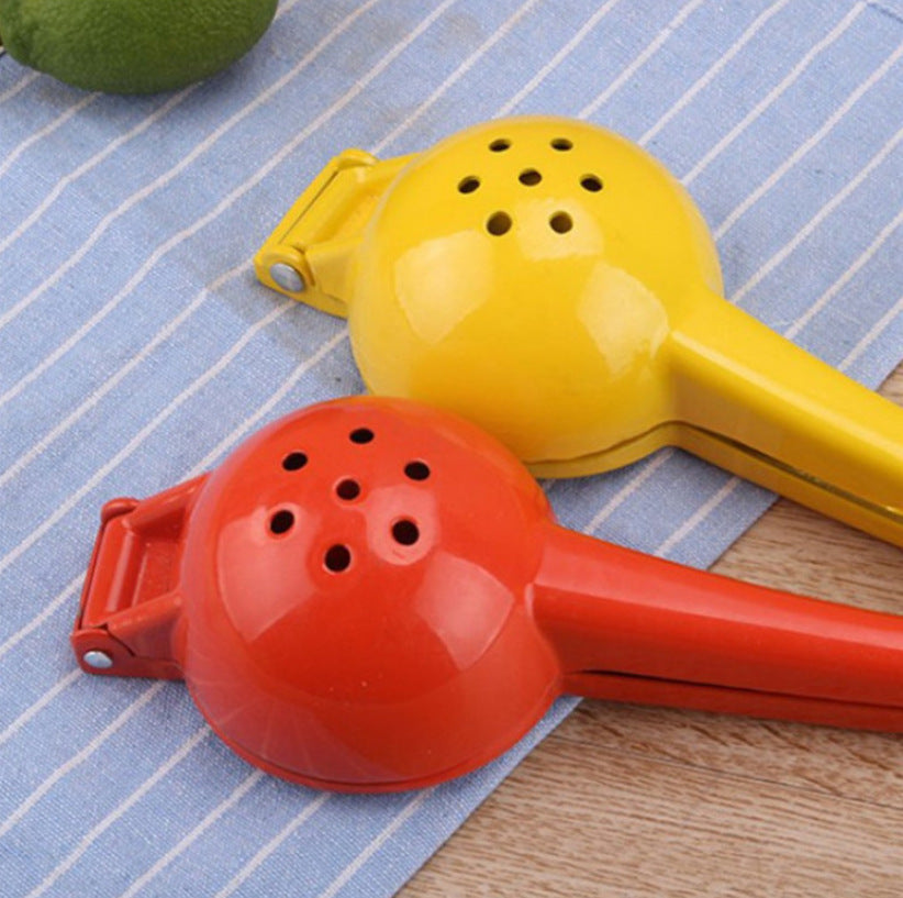 Fruit Juicer