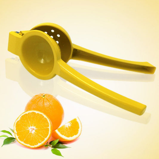 Fruit Juicer